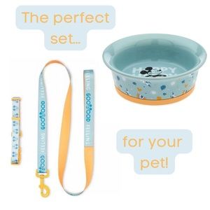 🐶 Disney collar, leash, and bowl combo! 🦮 Size small